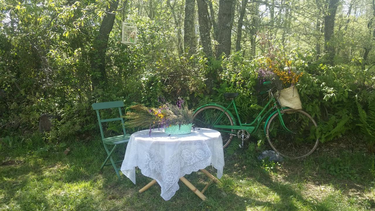 Hotel Rural Aguallevada Paramio Zewnętrze zdjęcie